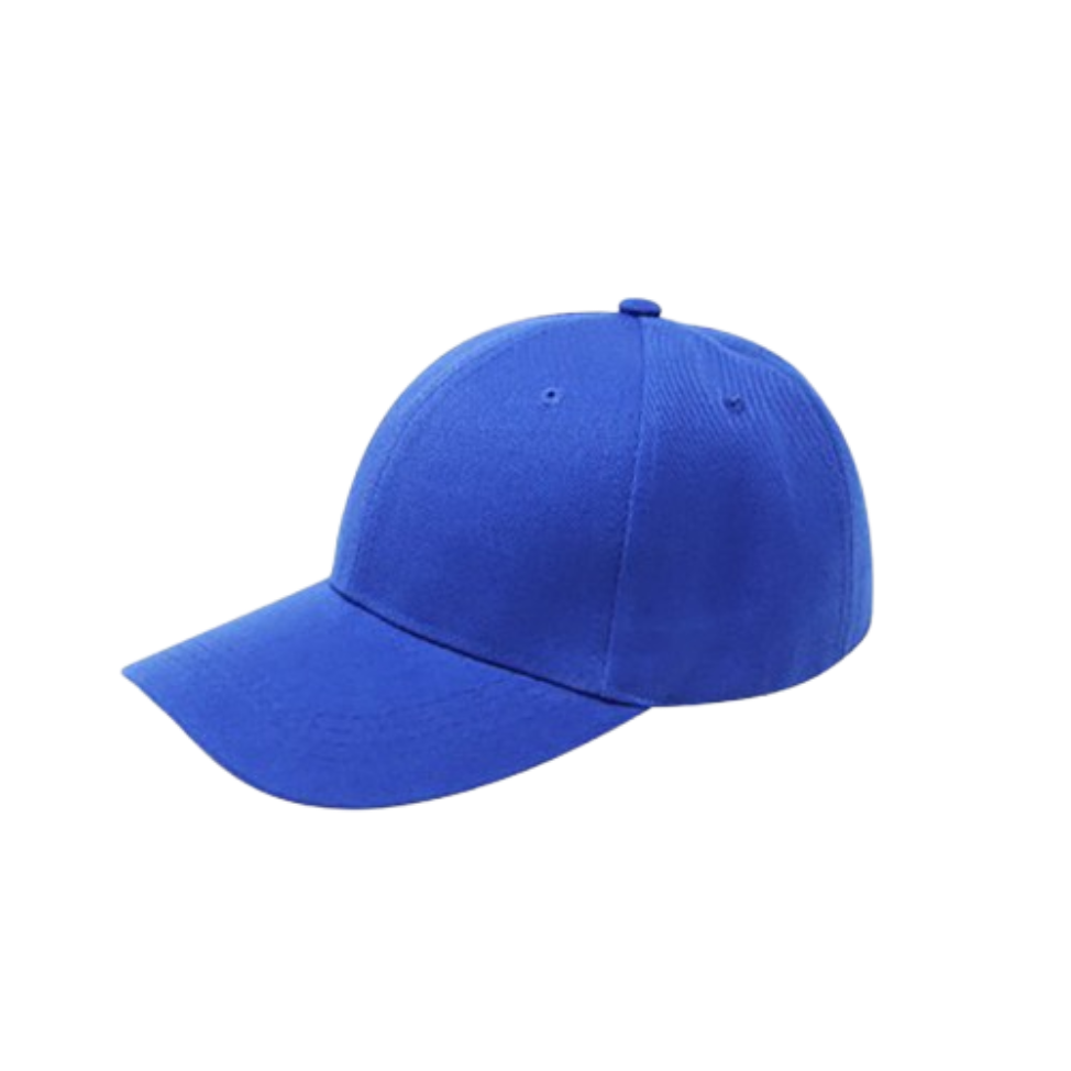 Blue Thinking Hat